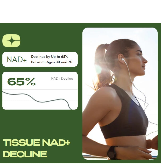 Cata-Kor Nicotinamide Capsules NAD Supplement 60 Tablets, 250mg